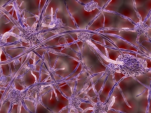 How Do You Know If You Have A Pinched Nerve?