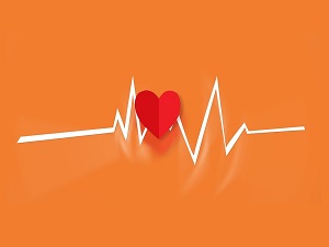 A Normal Heart Rate And Why It Matters