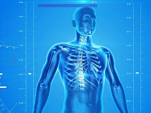 The Most Important Nutrients For Bone And Joint Health