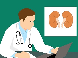 How To Care For Your Kidneys And Urinary Health