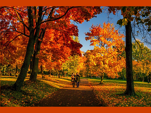 Maintaining Health And Wellness During The Fall Season
